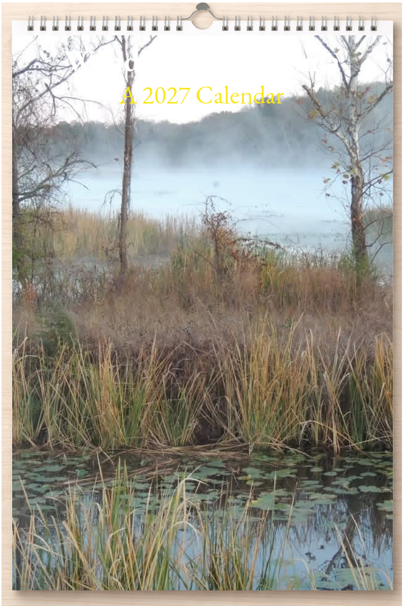 Wonderful Oklahoma: A 2027 Calendar