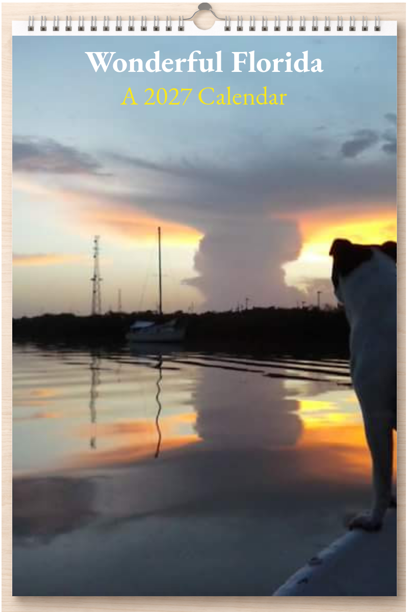 Wonderful Florida: A 2027 Calendar