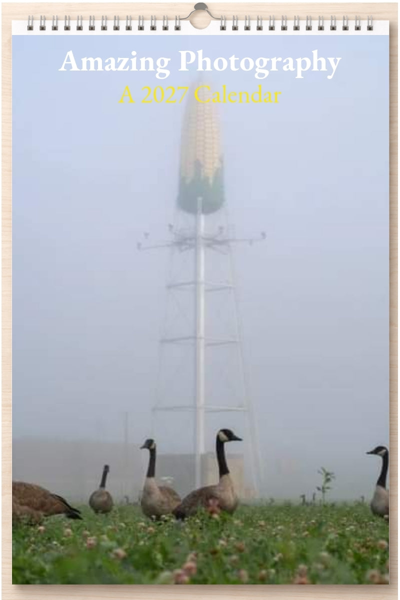Amazing Photography: A 2027 Calendar