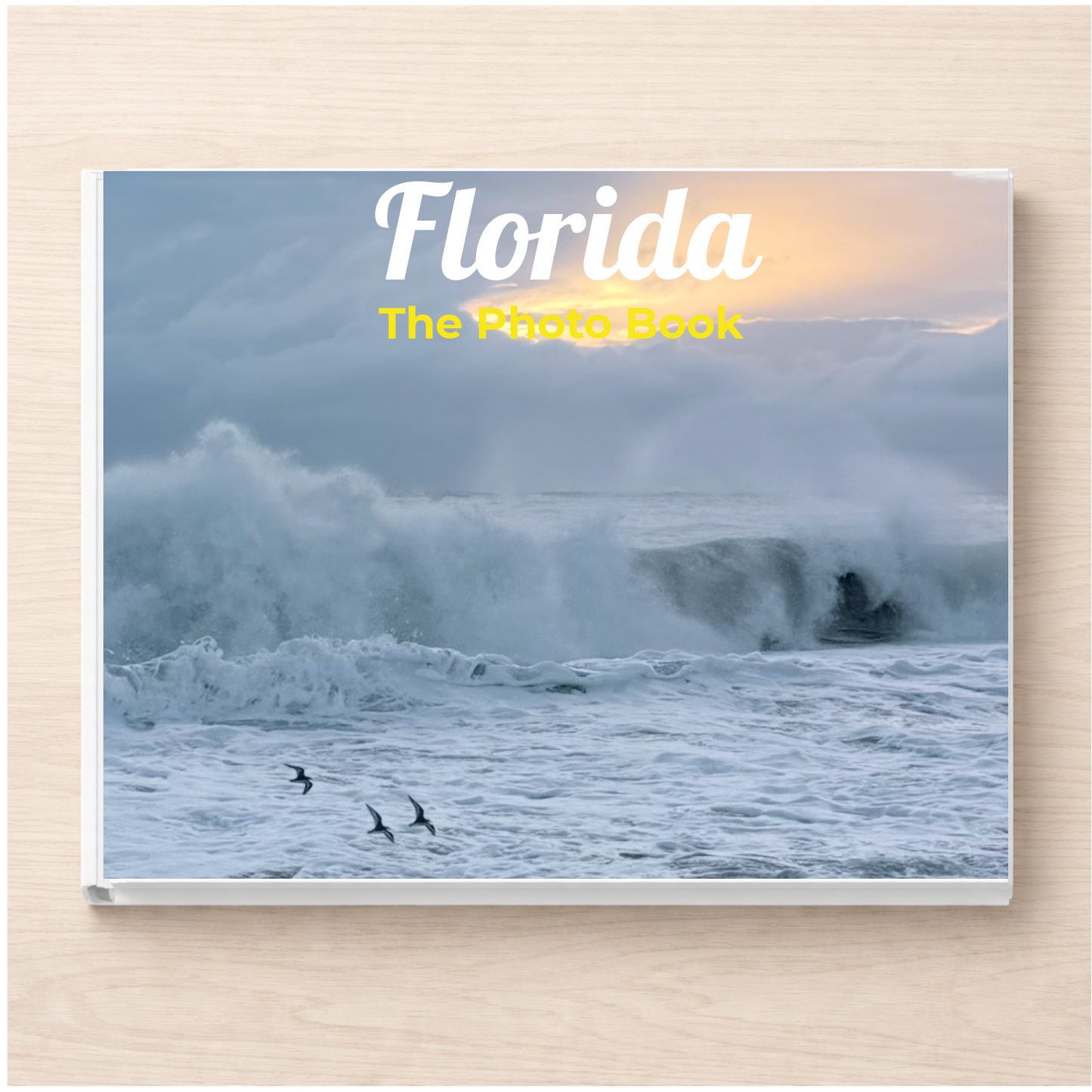 Florida: The Photo Book