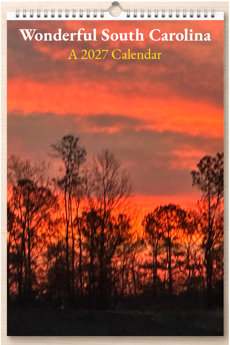 Wonderful South Carolina: A 2027 Calendar