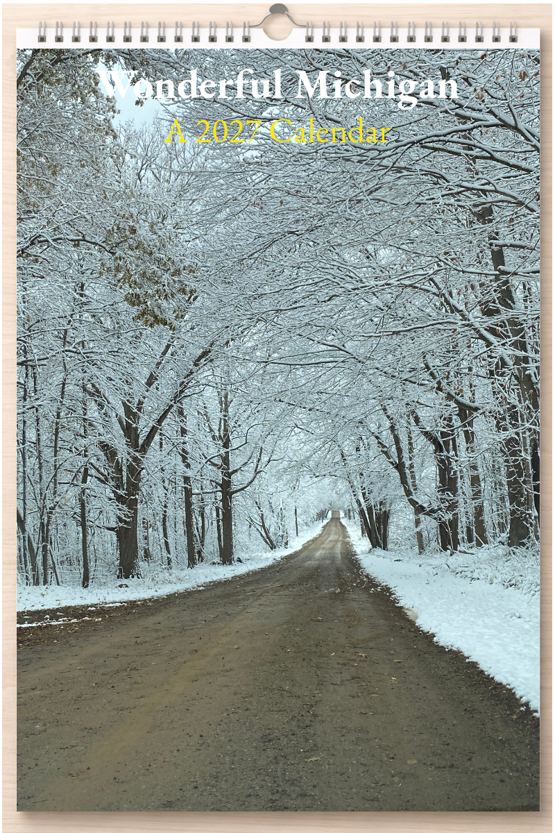 Wonderful Michigan: A 2027 Calendar