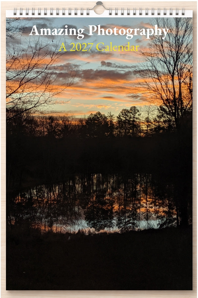 Amazing Photography: A 2027 Calendar