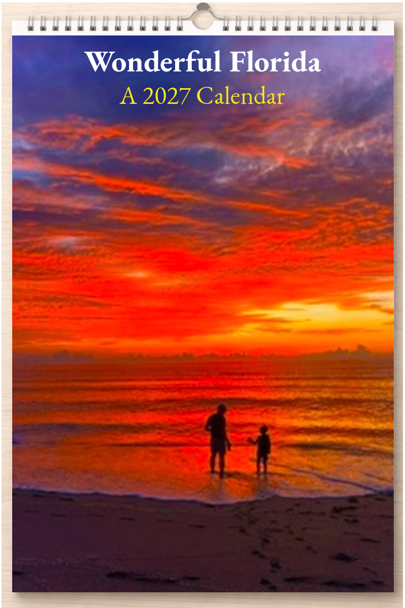 Wonderful Florida: A 2027 Calendar