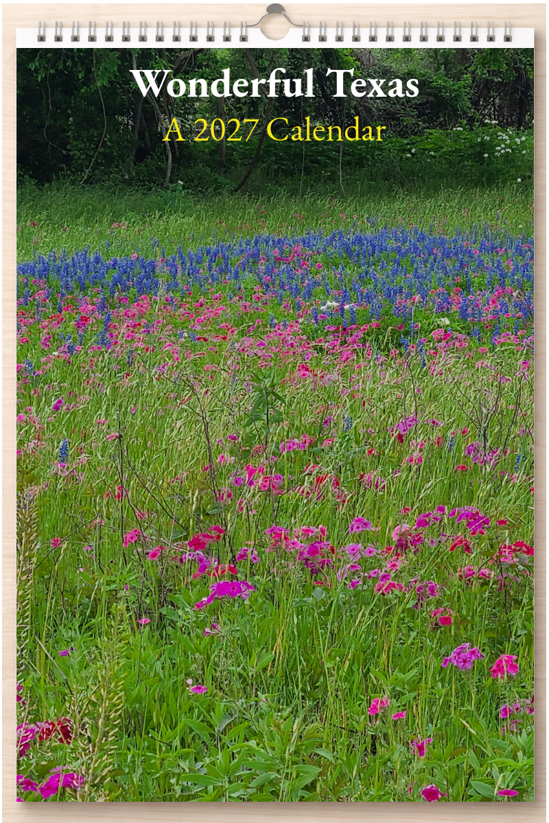 Wonderful Texas: A 2027 Calendar