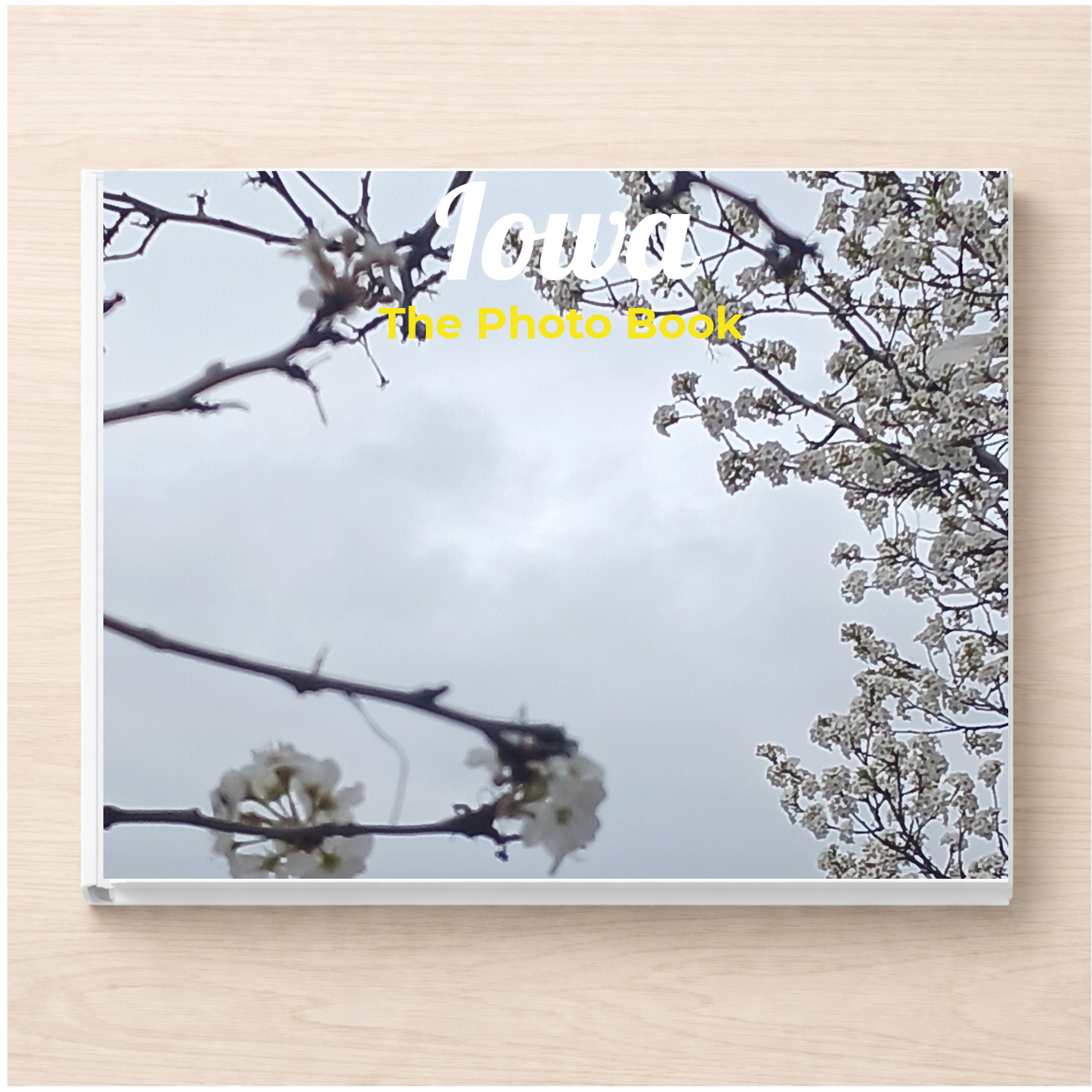 Iowa: The Photo Book
