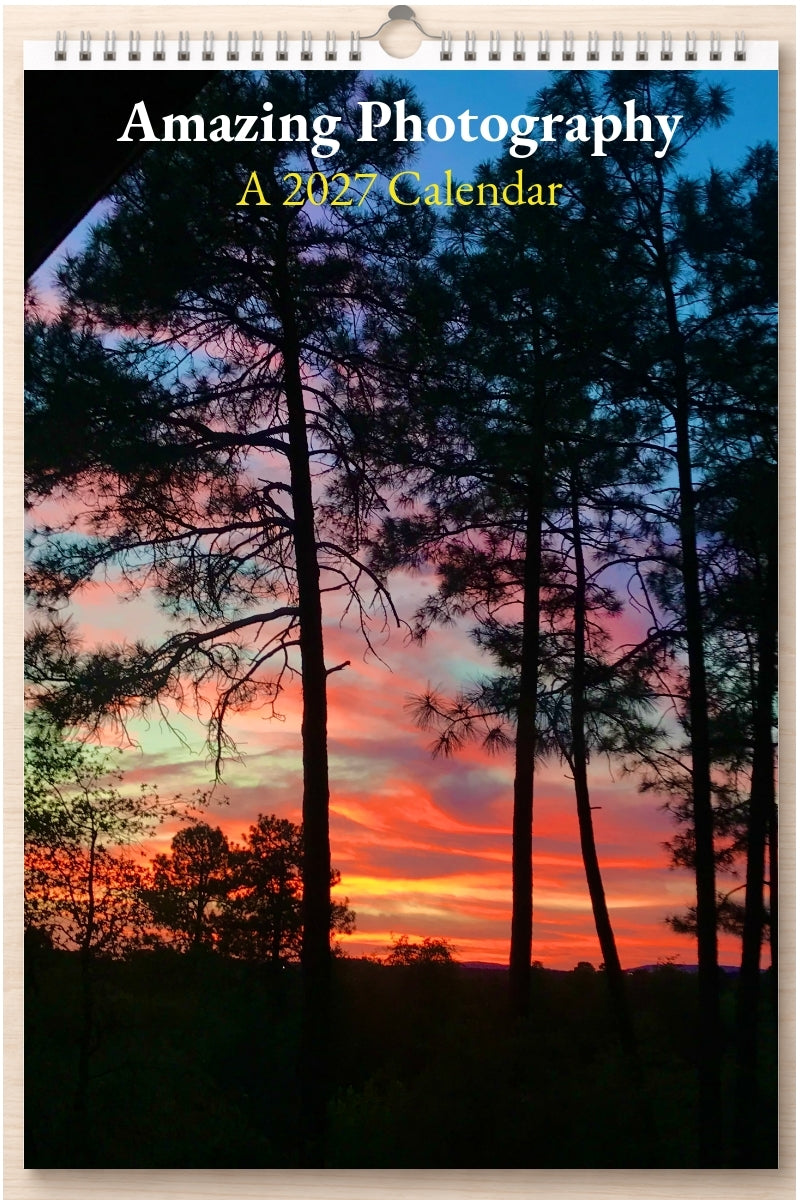 Amazing Photography: A 2027 Calendar