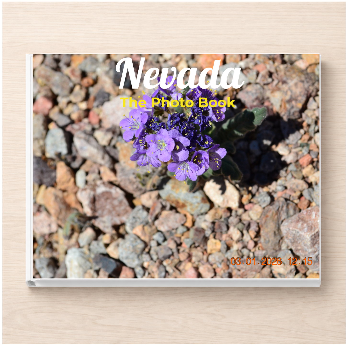 Nevada: The Photo Book