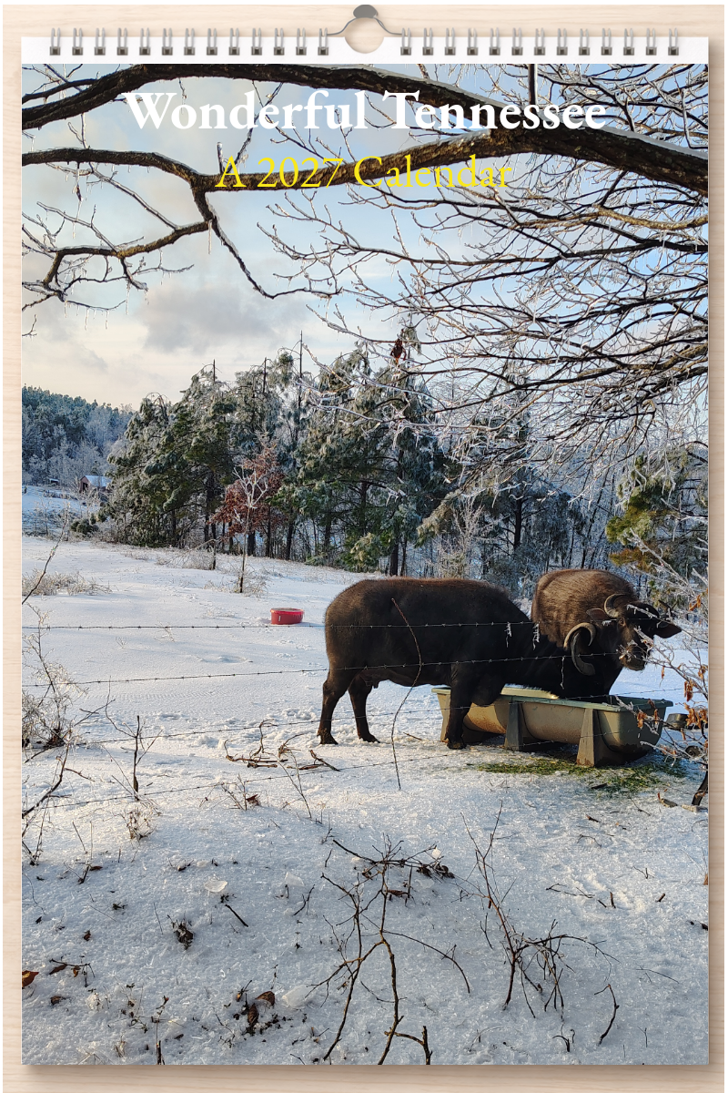 Wonderful Tennessee: A 2027 Calendar