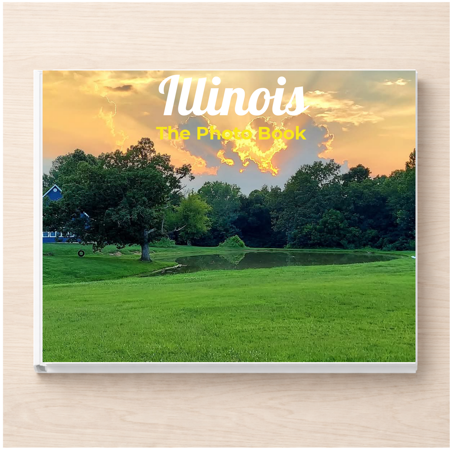 Illinois: The Photo Book