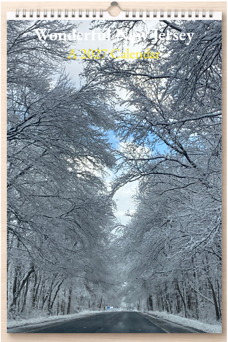 Wonderful New Jersey: A 2027 Calendar