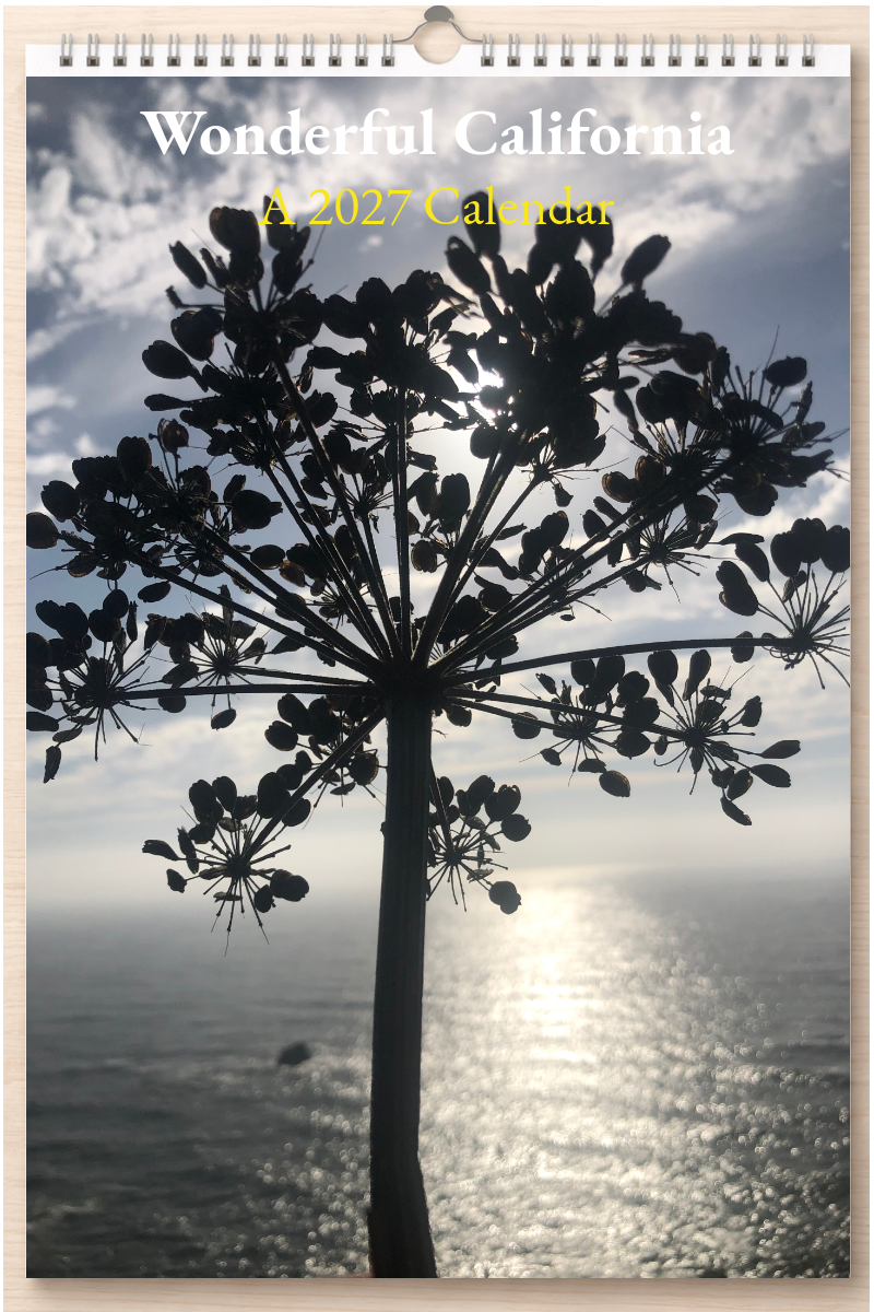 Wonderful California: A 2027 Calendar
