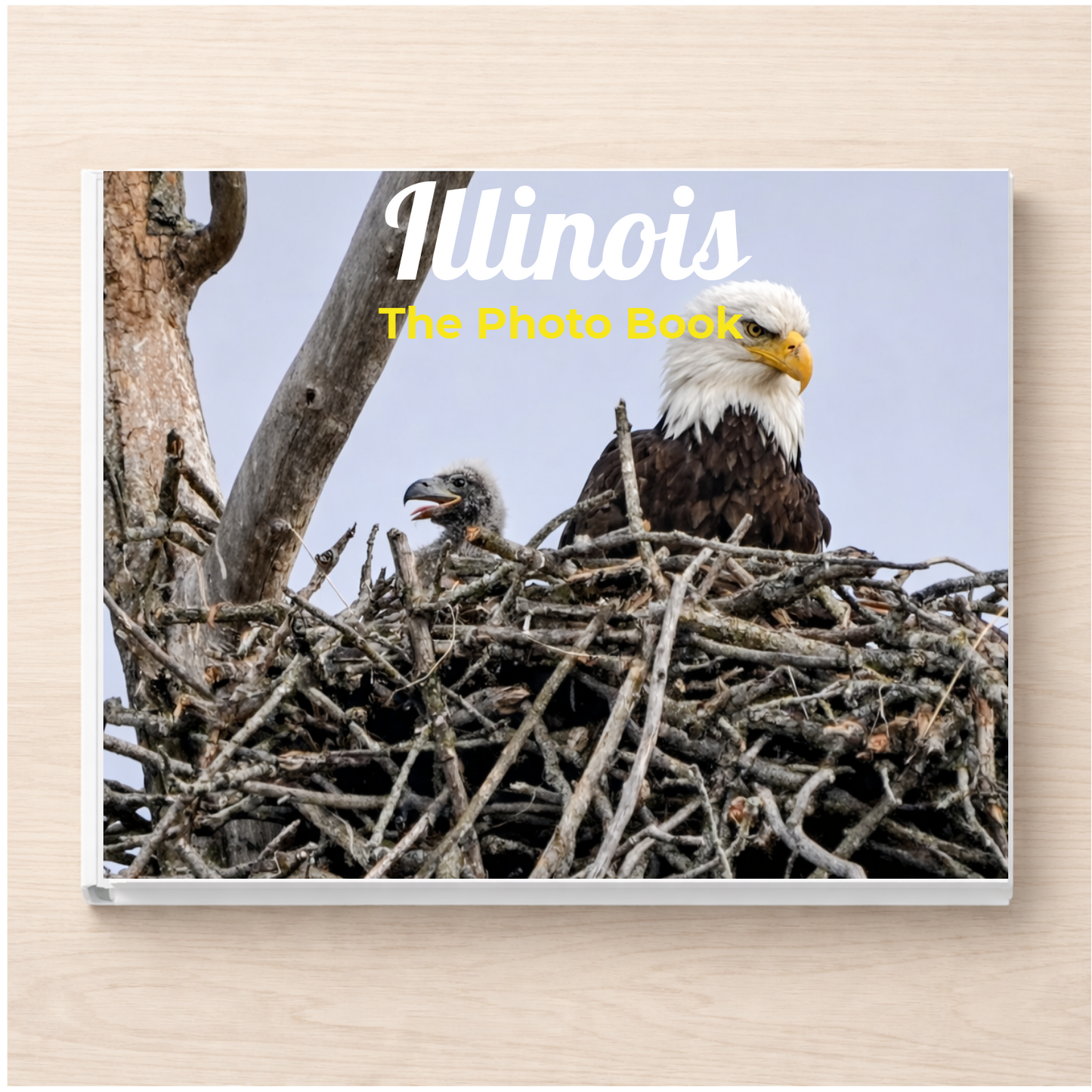 Illinois: The Photo Book