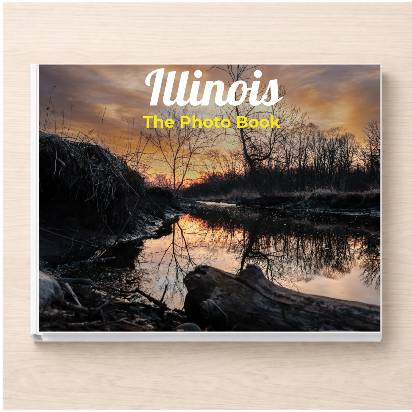 Illinois: The Photo Book