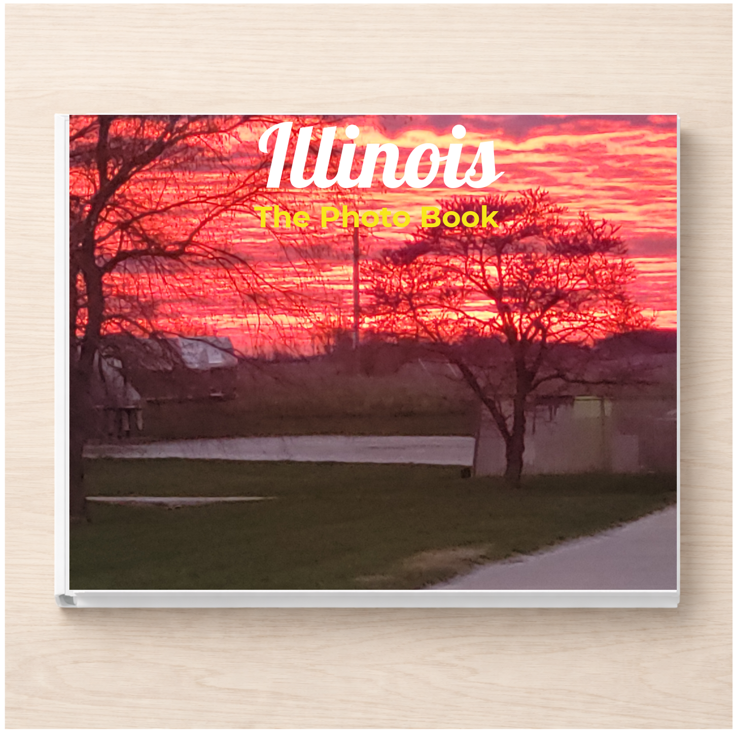Illinois: The Photo Book