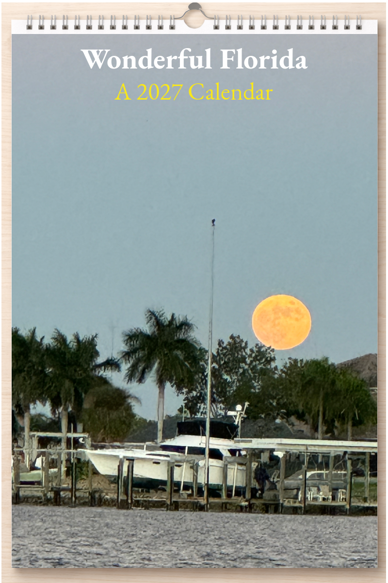 Wonderful Florida: A 2027 Calendar