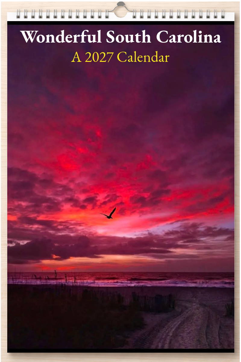 Wonderful South Carolina: A 2027 Calendar