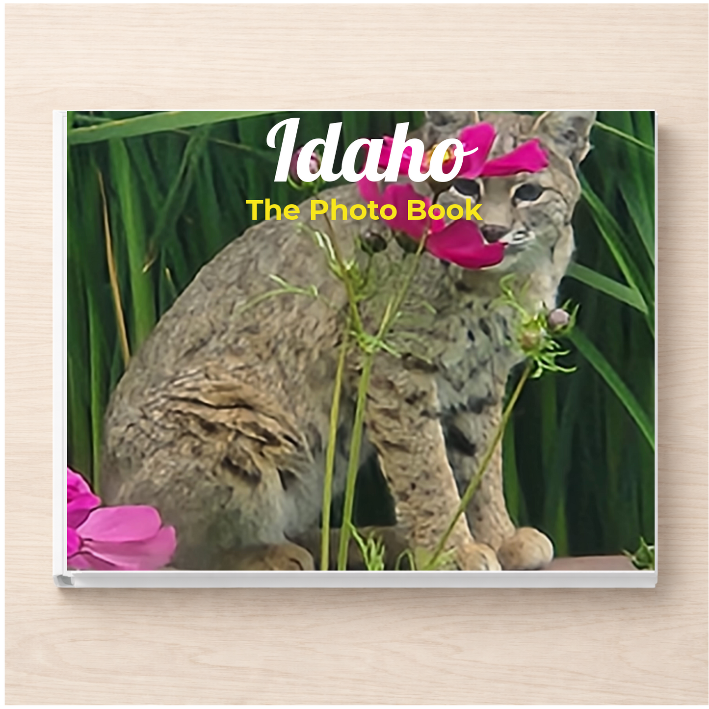 Idaho: The Photo Book