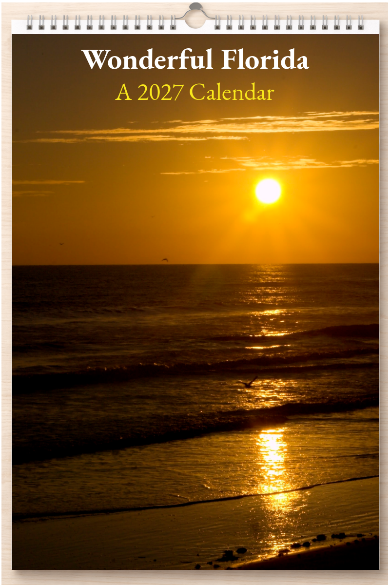 Wonderful Florida: A 2027 Calendar