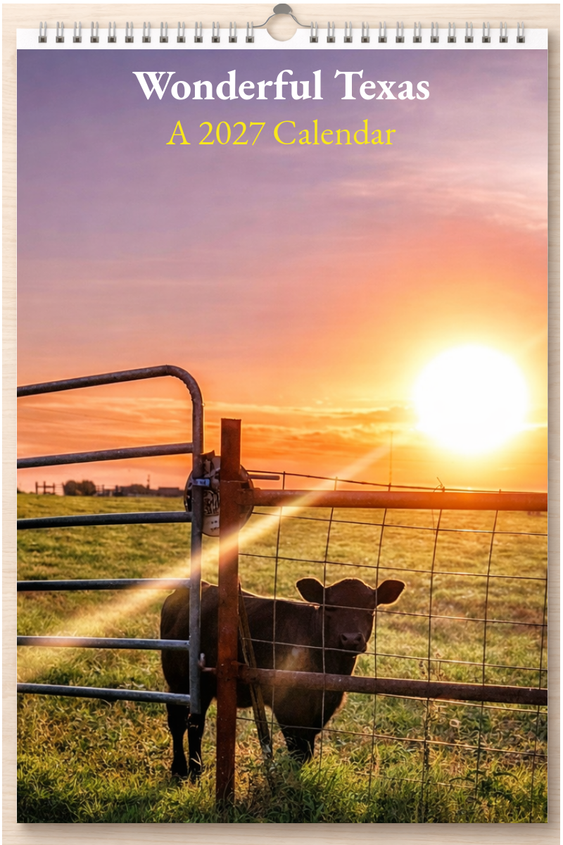 Wonderful Texas: A 2027 Calendar