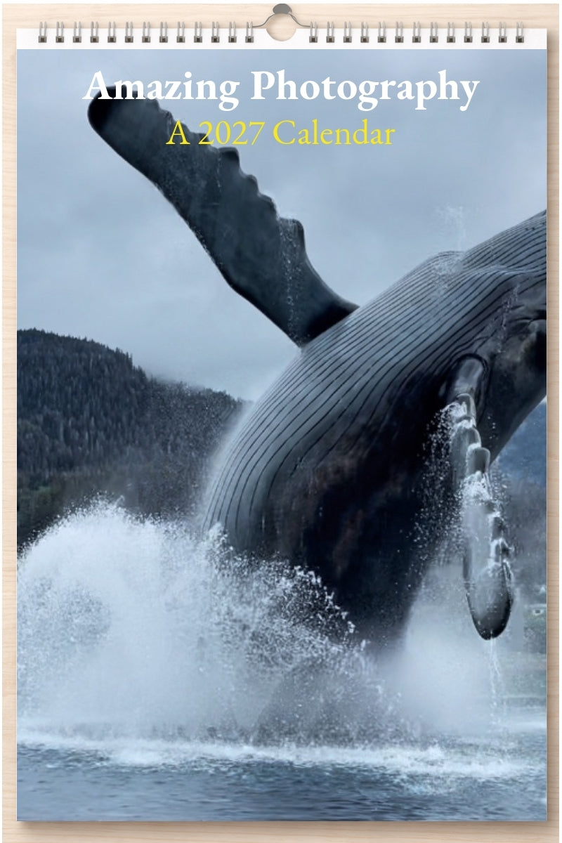 Amazing Photography: A 2027 Calendar