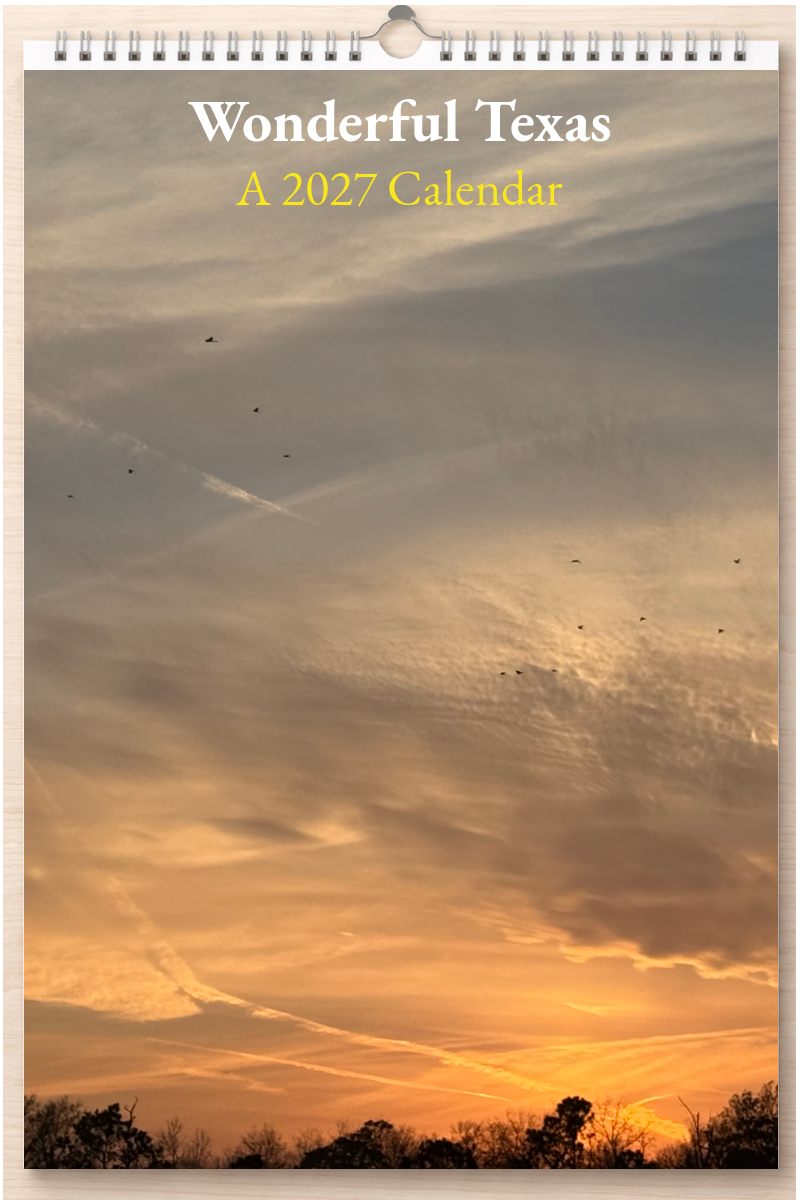 Wonderful Texas: A 2027 Calendar