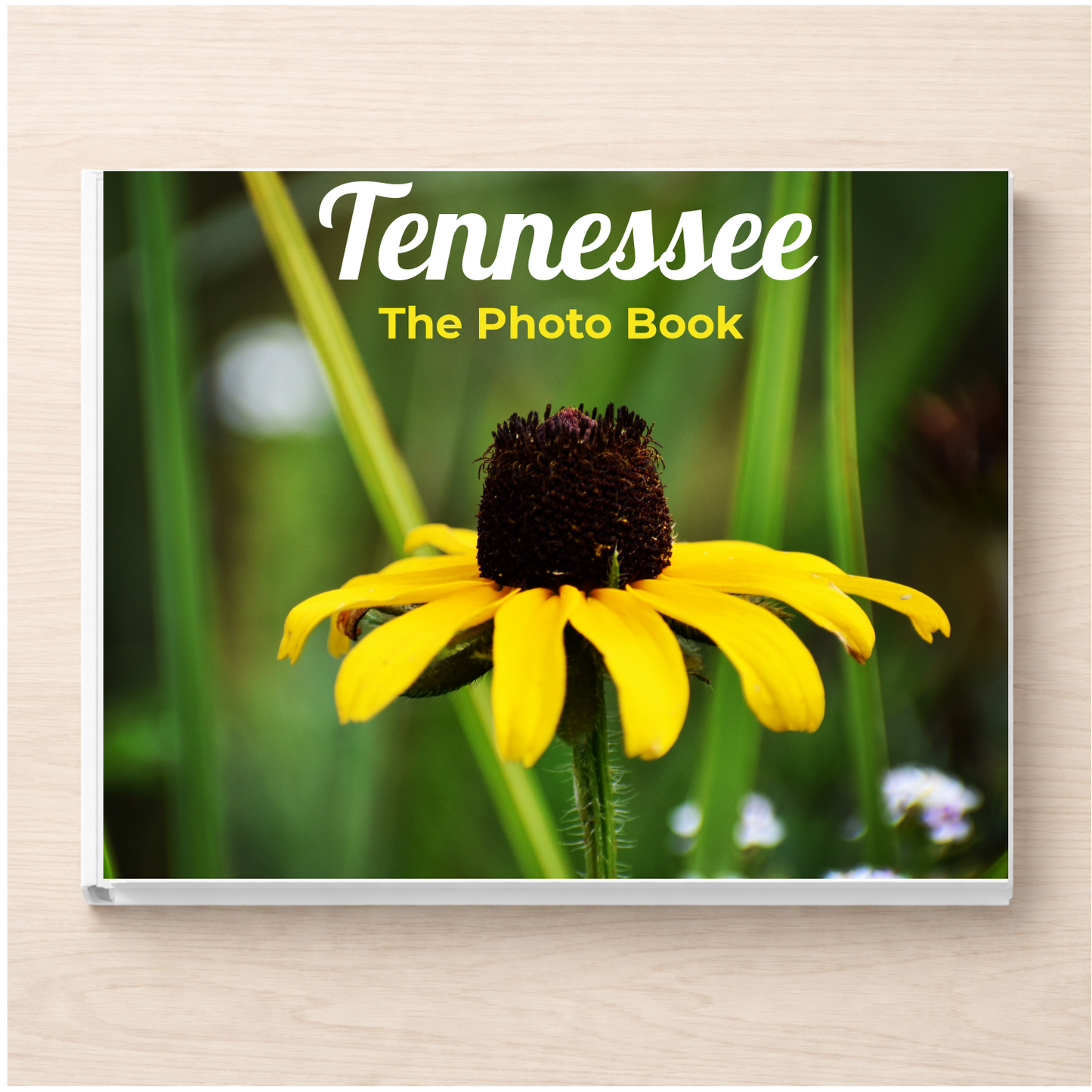 Tennessee: The Photo Book