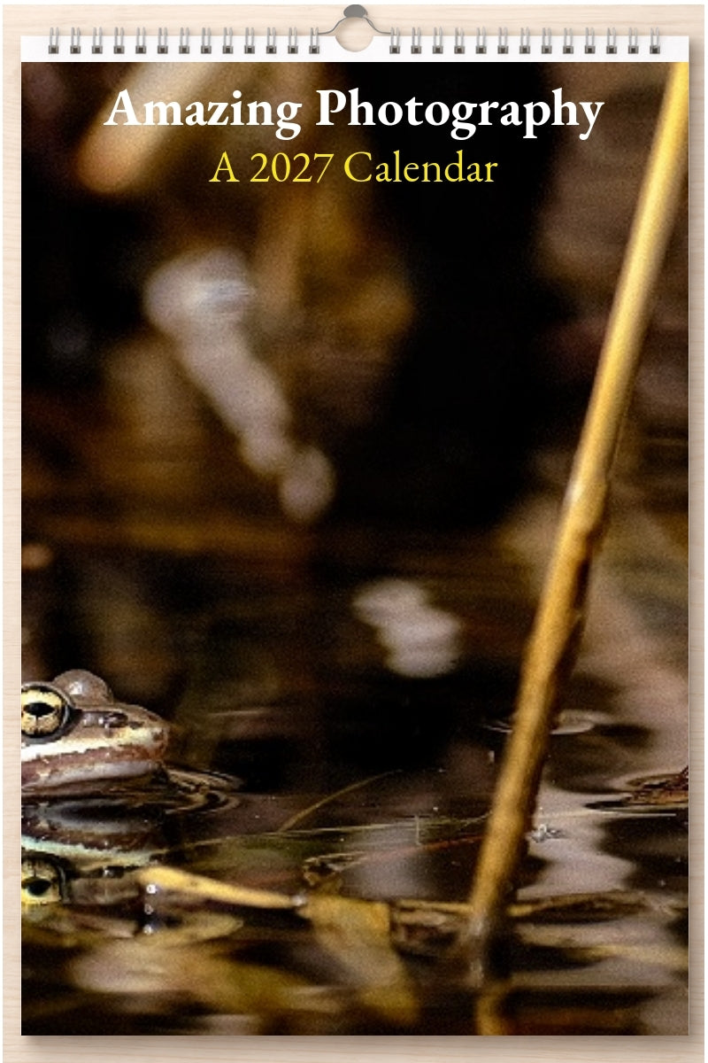 Amazing Photography: A 2027 Calendar