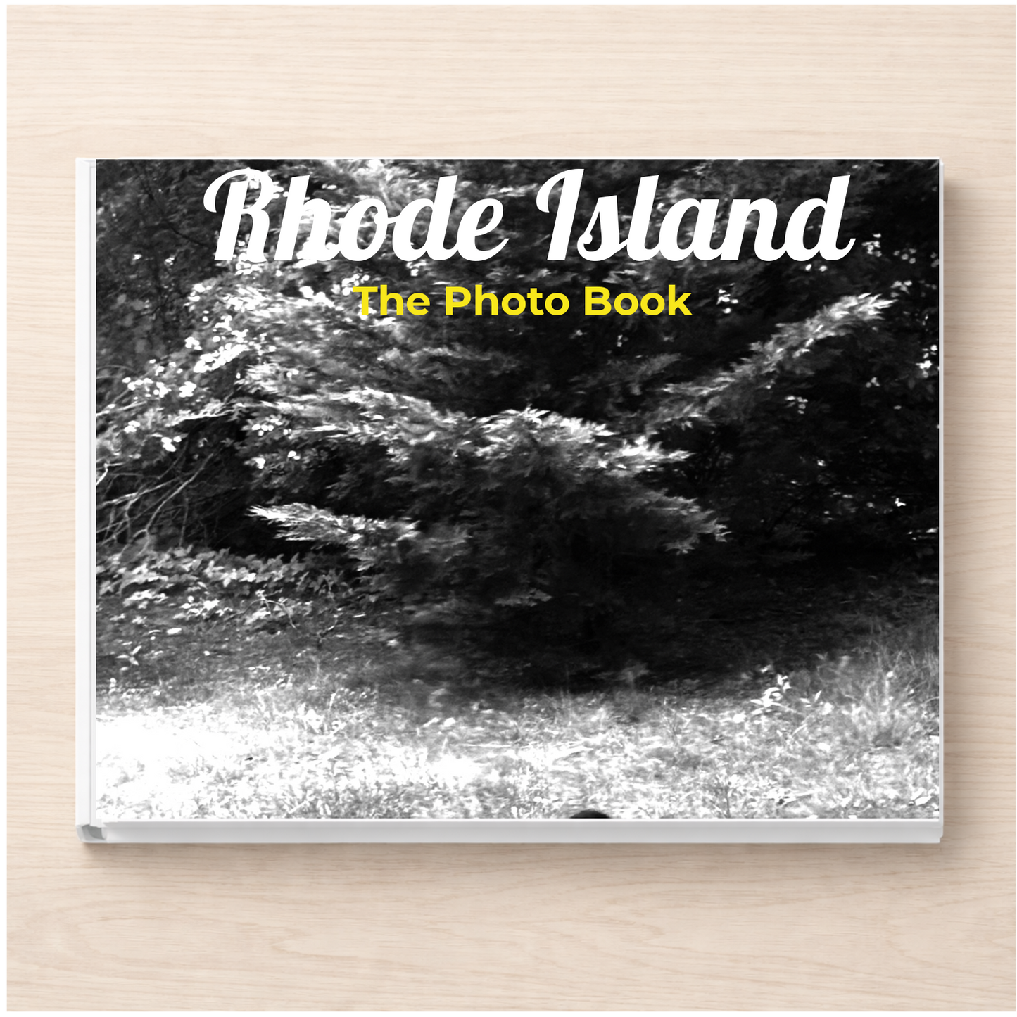 Rhode Island: The Photo Book
