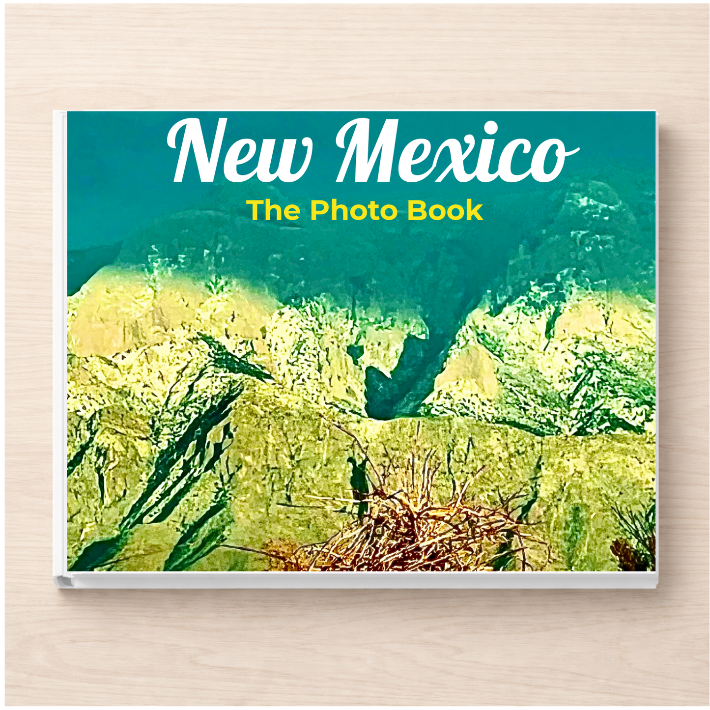 New Mexico: The Photo Book
