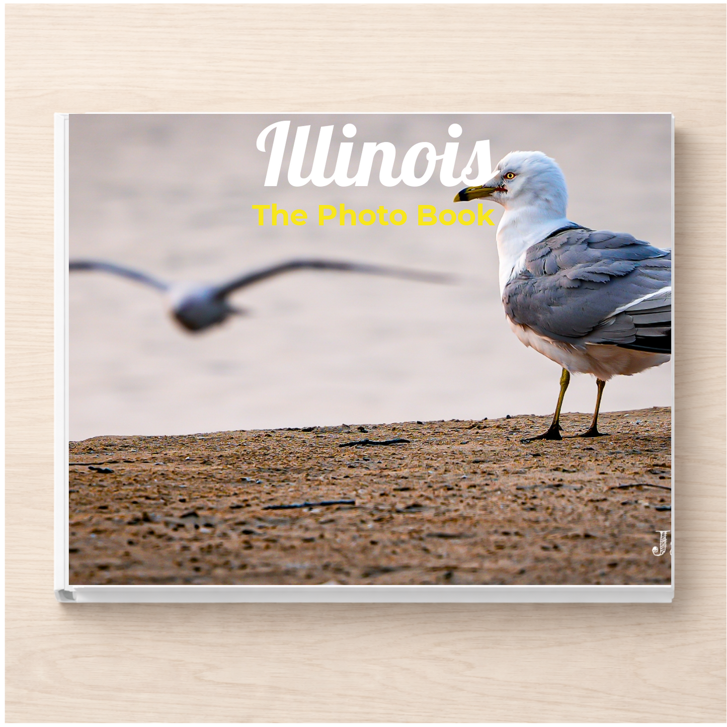 Illinois: The Photo Book