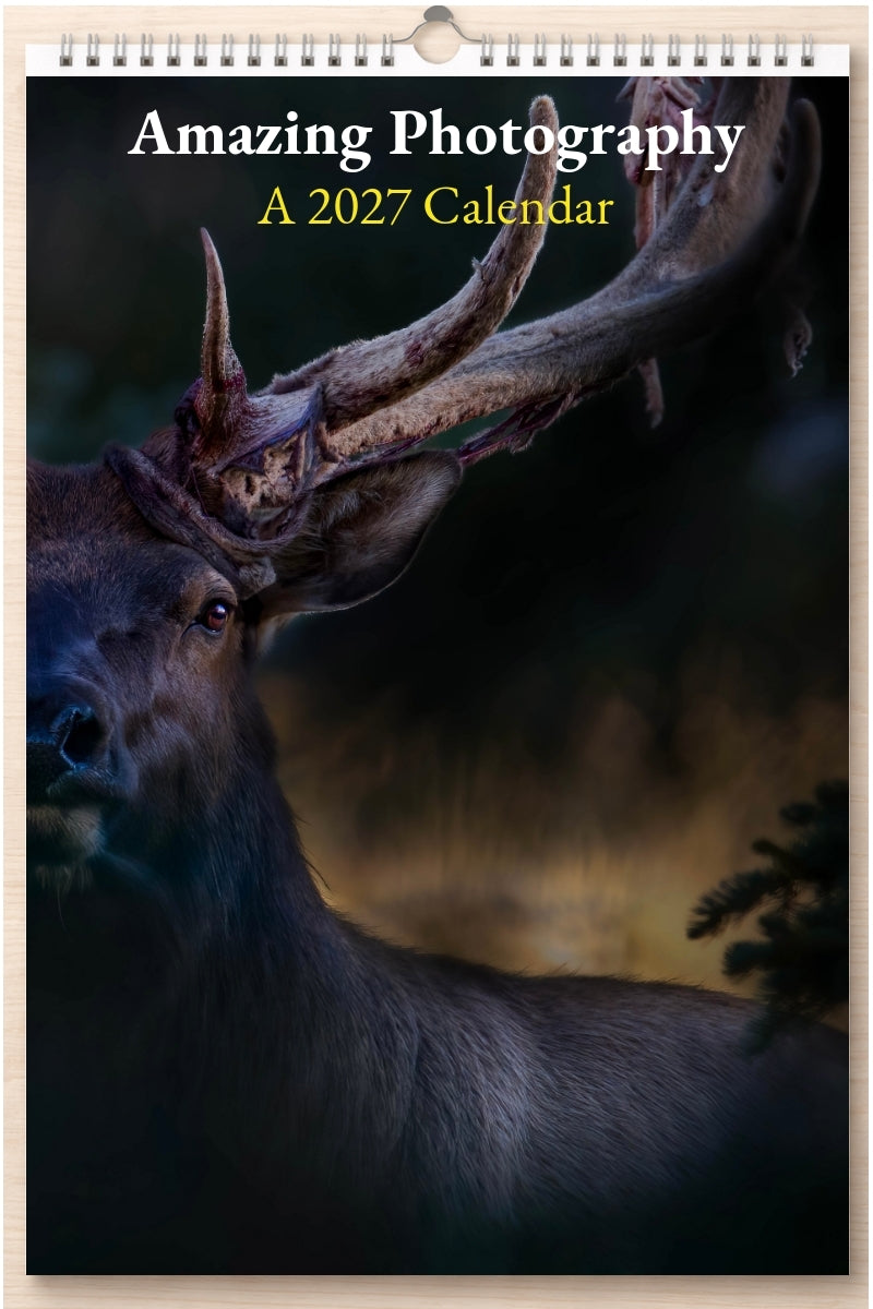 Amazing Photography: A 2027 Calendar