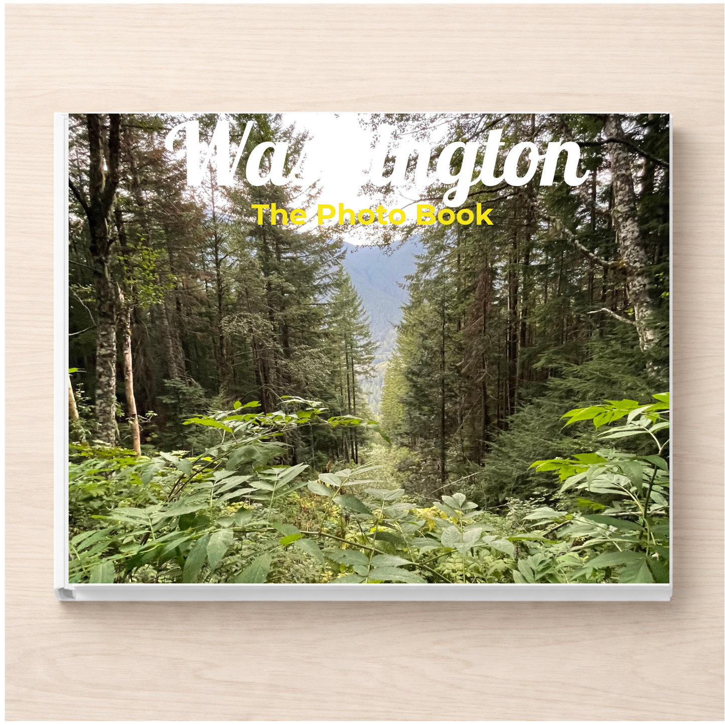 Washington: The Photo Book