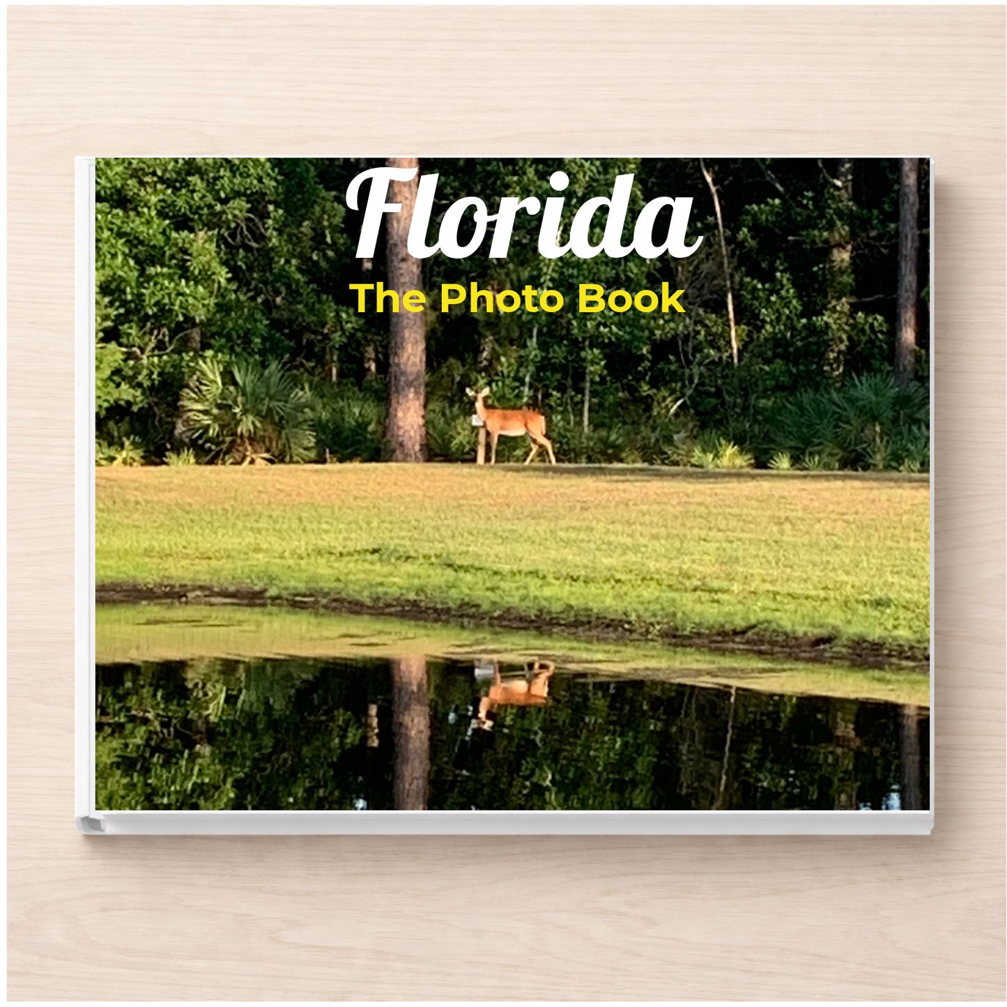 Florida: The Photo Book