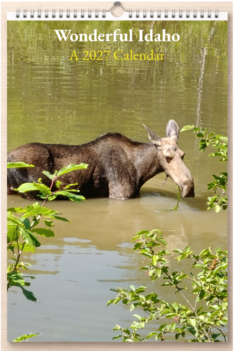 Wonderful Idaho: A 2027 Calendar