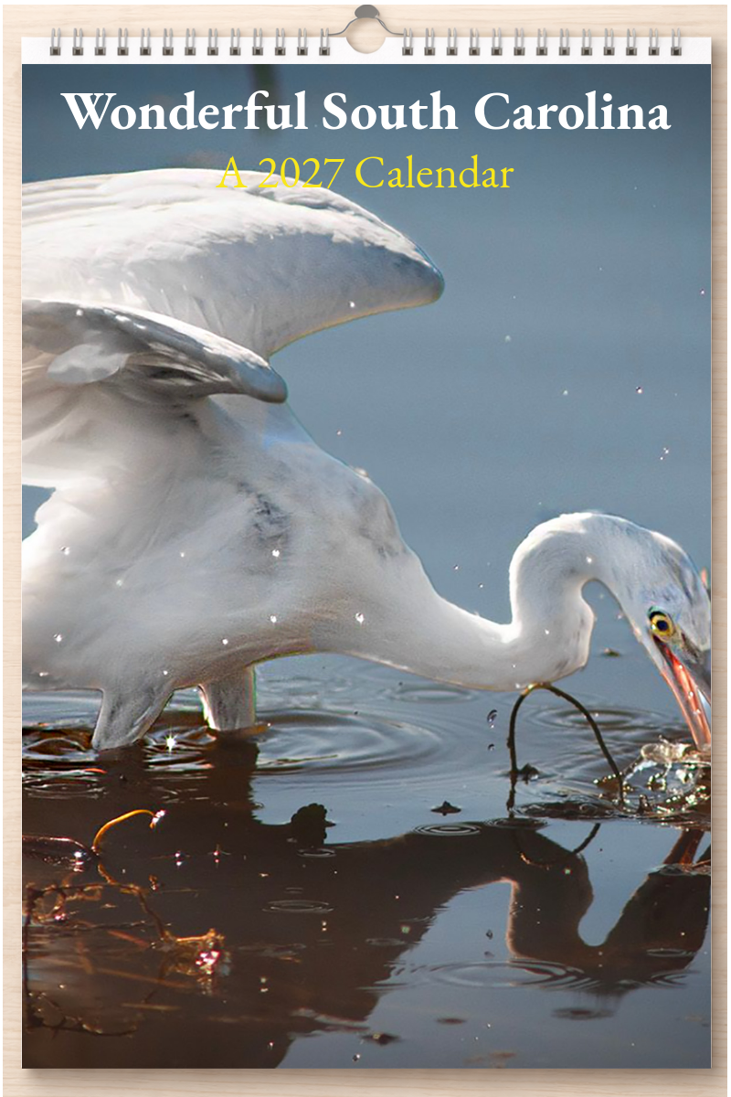 Wonderful South Carolina: A 2027 Calendar