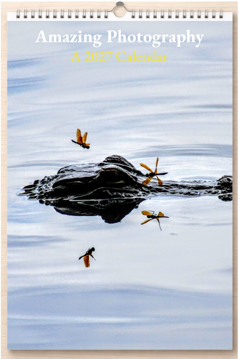 Amazing Photography: A 2027 Calendar