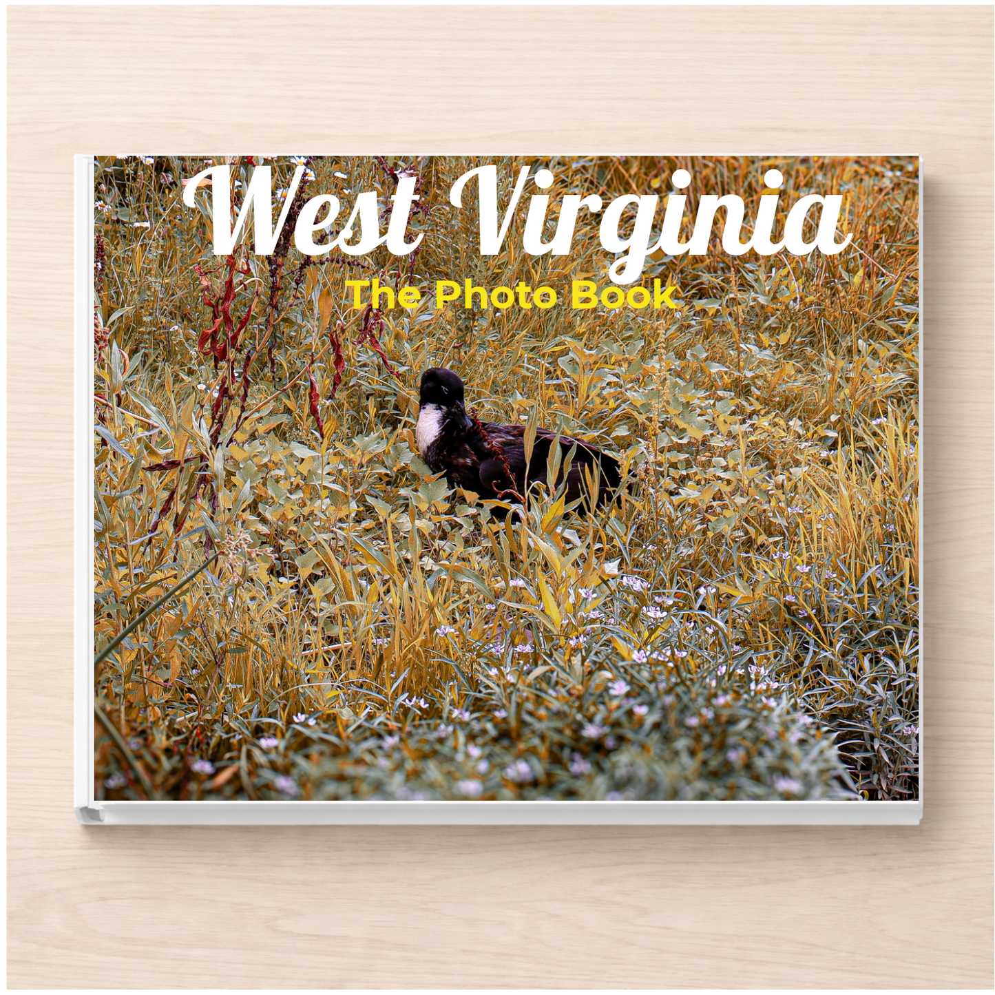 West Virginia: The Photo Book