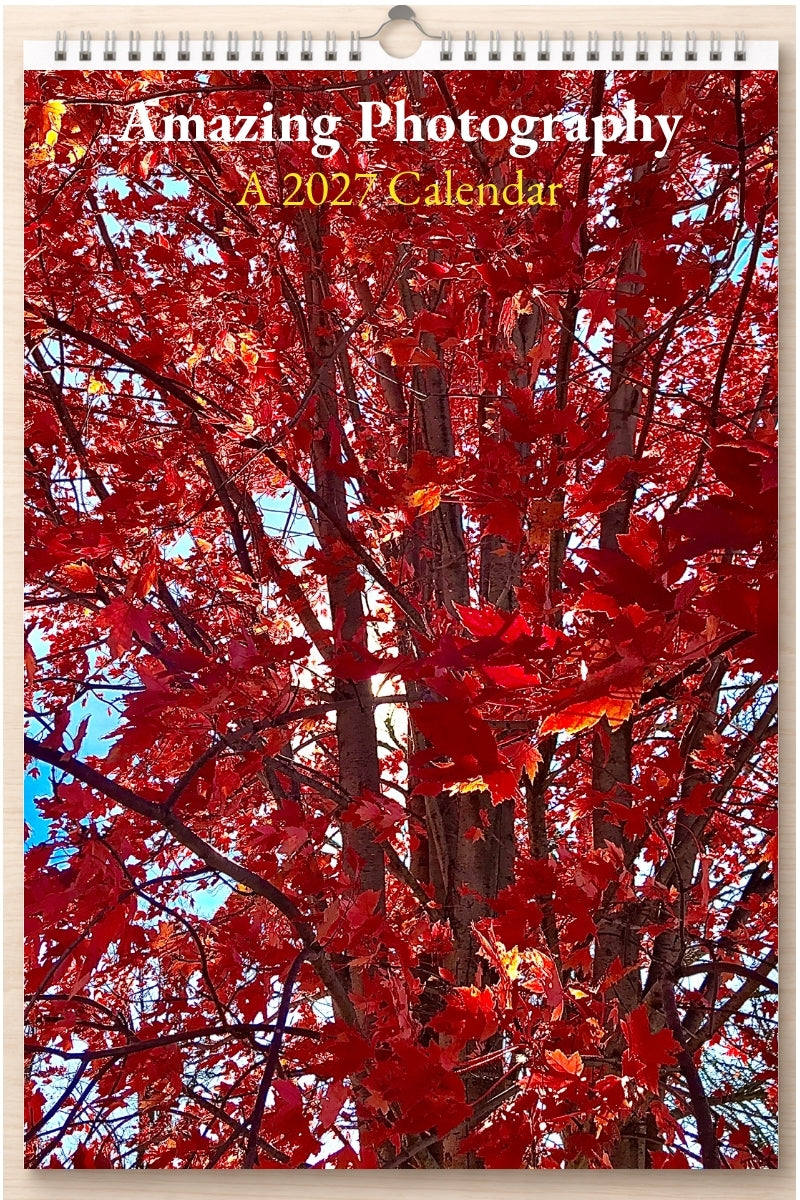 Amazing Photography: A 2027 Calendar