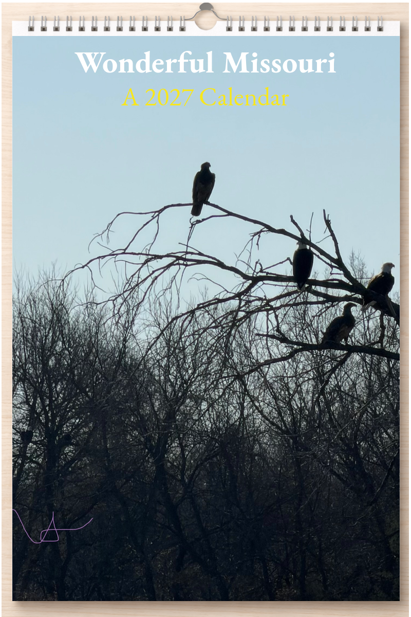 Wonderful Missouri: A 2027 Calendar