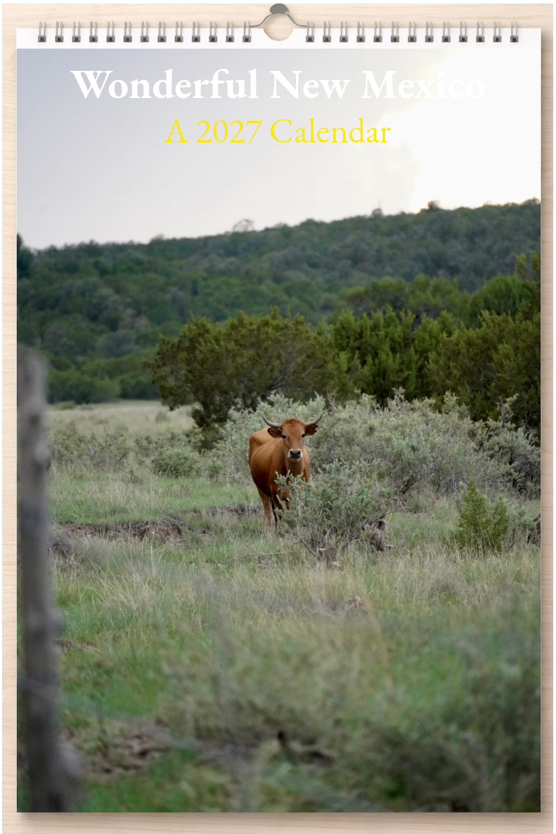 Wonderful New Mexico: A 2027 Calendar