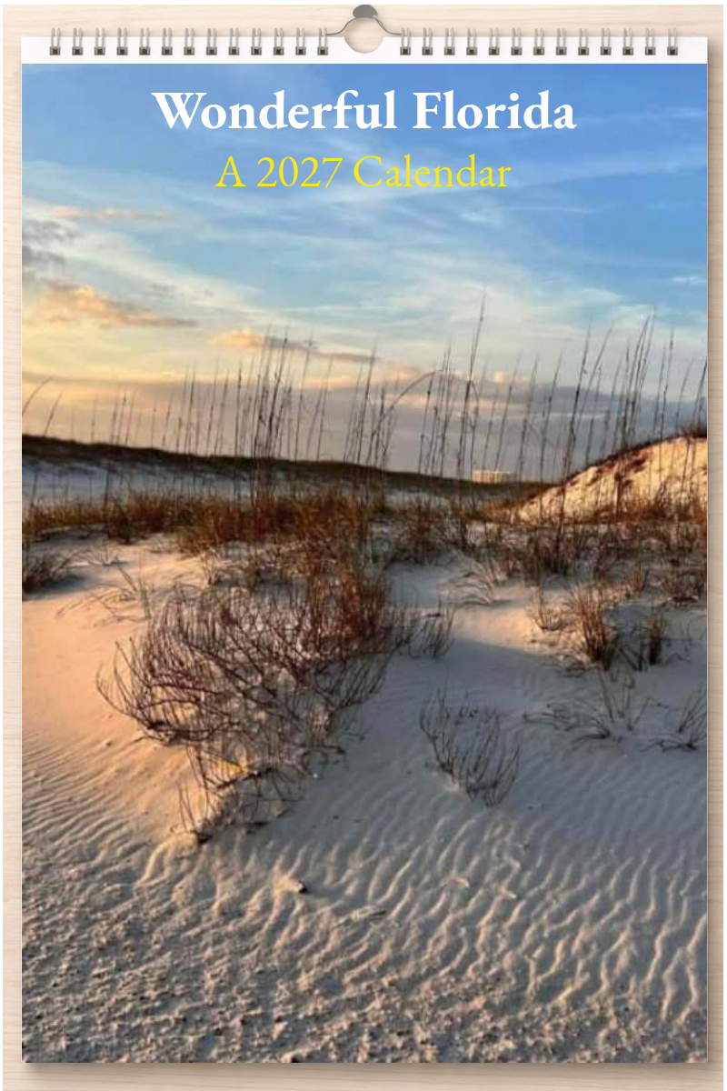 Wonderful Florida: A 2027 Calendar