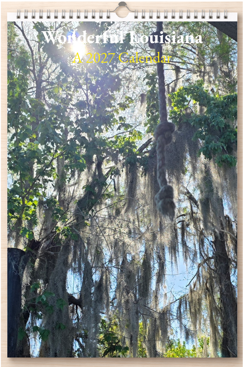 Wonderful Louisiana: A 2027 Calendar