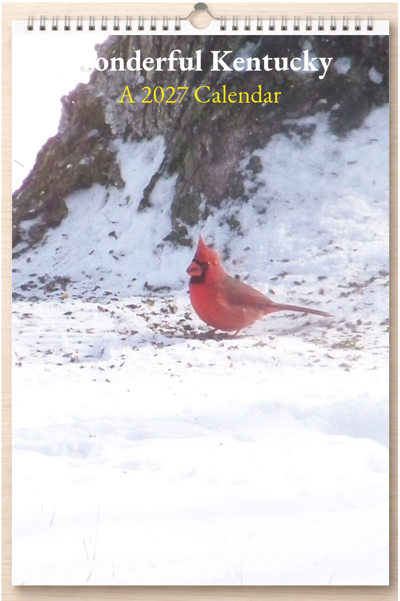 Wonderful Kentucky: A 2027 Calendar