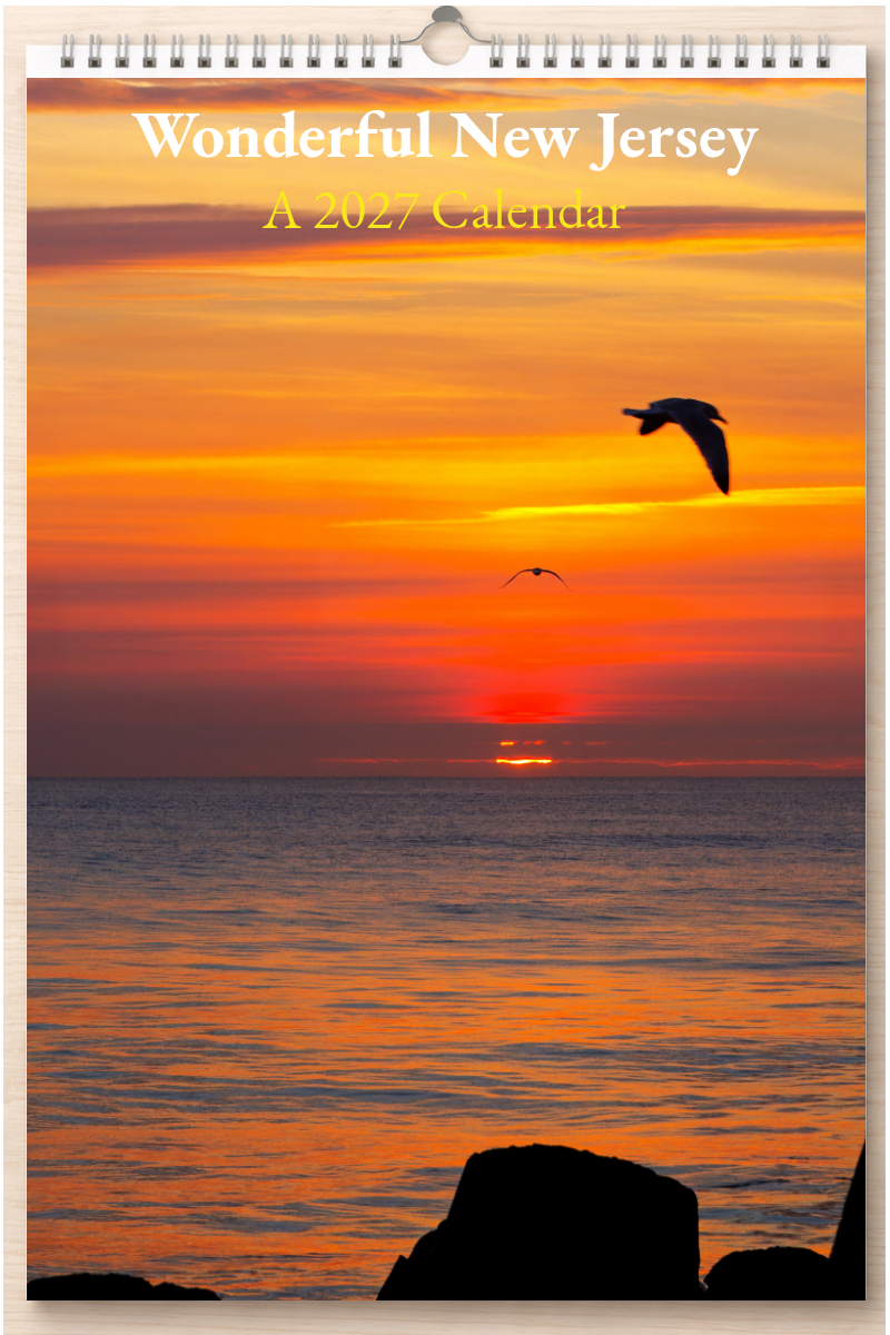 Wonderful New Jersey: A 2027 Calendar