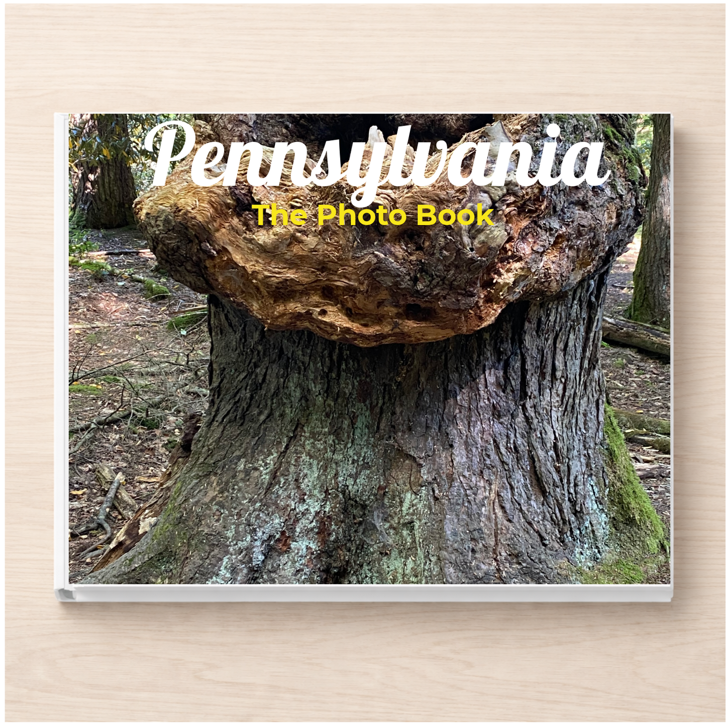 Pennsylvania: The Photo Book
