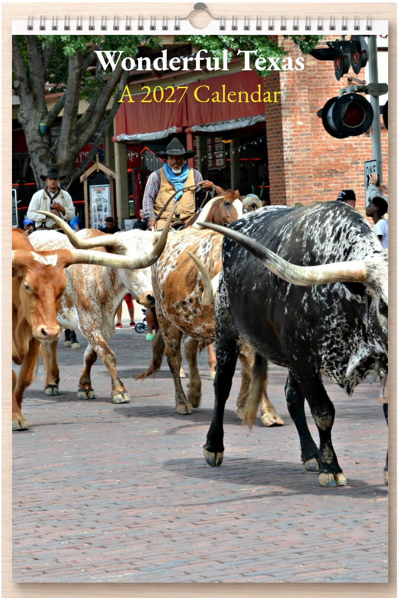 Wonderful Texas: A 2027 Calendar