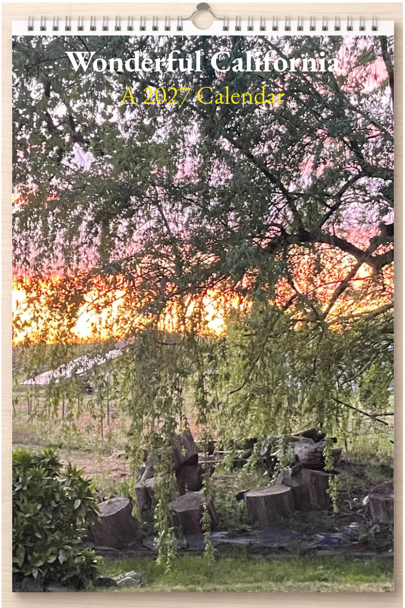 Wonderful California: A 2027 Calendar