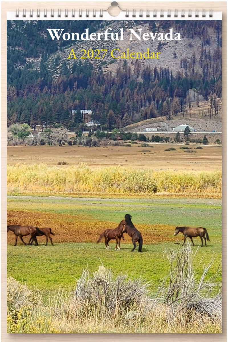 Wonderful Nevada: A 2027 Calendar