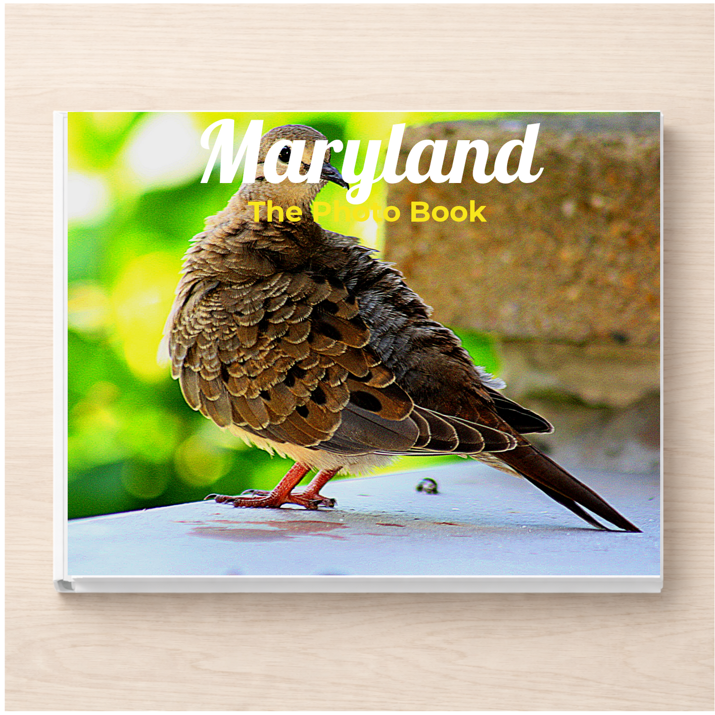 Maryland: The Photo Book